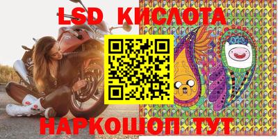 твердый Заводоуковск