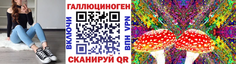 Псилоцибиновые грибы Psilocybine cubensis  хочу наркоту  Краснознаменск 