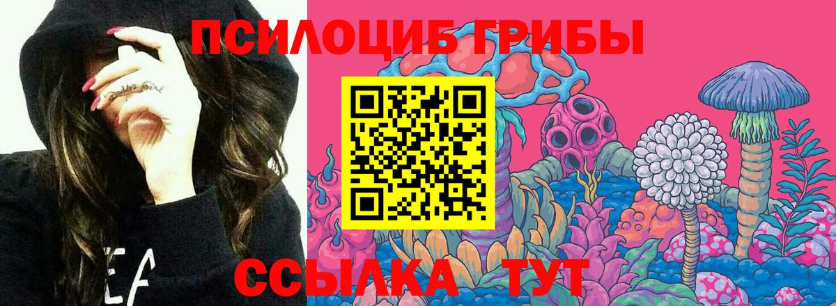 Краснознаменск  Псилоцибиновые грибы GOLDEN TEACHER  Вход с VPN 
